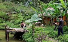 'Làng số' ở Tuyên Quang