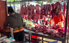 Giá heo hơi hôm nay 25.5.2026: Chững lại sau biến động