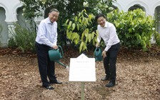 Tổng Bí thư, Chủ tịch nước Tô Lâm và Thủ tướng Lawrence Wong trồng cây tại Vườn Bách thảo Singapore