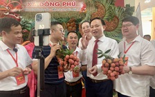 Giá vải 'nhảy múa', doanh nghiệp lo không đủ hàng xuất khẩu