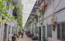 Tin vui cho người đi thuê nhà trọ