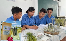 Sinh viên làm sản phẩm độc lạ: Trà từ lúa chét ST25