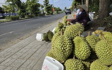 Sầu riêng xuất khẩu ách tắc, sẽ xử lý cơ sở kiểm nghiệm chậm trễ