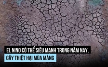 'Siêu El Nino' có xuất hiện trong năm nay?