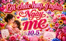 Lời chúc Ngày của mẹ 10.5 hay và ý nghĩa: Nhiều người rưng rưng khi đọc