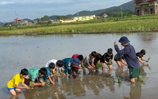 Cần thêm những lớp học đặc biệt cho 'khối nghỉ hè'