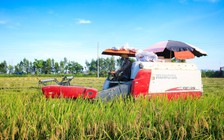 Công an Hưng Yên cảnh báo nạn bảo kê gặt lúa