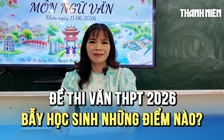 Từ 'Steve Jobs Việt Nam' đến 'Những chiếc lá': Đề thi văn THPT 2026 bẫy học sinh ở chỗ nào?