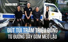 Mỗi ngày gom 50 kg mèo lậu, đút túi hàng trăm triệu đồng chỉ sau vài tháng