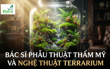 Cùng sống xanh số 152: Khi nghệ thuật Terrarium được chăm sóc bằng vi sinh bản địa