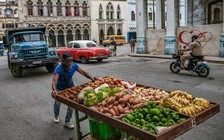 Cuba công bố các biện pháp cải cách kinh tế