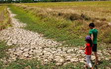 Tin tức đặc biệt trên báo in Thanh Niên 16.6.2026