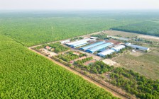 VRG đặt mục tiêu thành tập đoàn nông nghiệp xanh hàng đầu thế giới