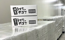 Trứng gia cầm Việt Nam tiến vào thị trường Nhật Bản