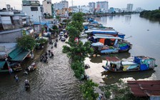 Sớm quy hoạch cốt nền để chống ngập, ngăn TP.HCM chìm dần