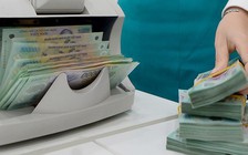 Cảnh báo các doanh nghiệp không còn hoạt động, chưa đóng mã số thuế
