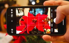 Vì sao camera iPhone đột nhiên hiện biểu tượng bông hoa?