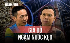 Chủ cơ sở ngâm giá đỗ vào nước kẹo vì 'làm giá hay bị hỏng'