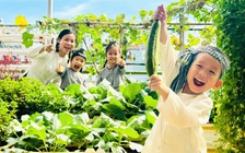 Trường mầm non công lập TP.HCM sẽ giữ trẻ trong hè từ ngày 15.6