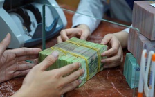 Nhiều doanh nghiệp 'bạo tay' chi cổ tức