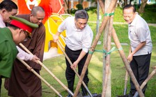 Trồng thêm cây ở Công viên Phan Đình Phùng giữa trung tâm TP.HCM