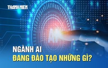 Ngành AI đang đào tạo những gì, ra trường làm công việc nào?