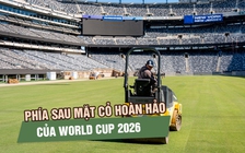 Từ phòng thí nghiệm đến World Cup 2026: Hành trình đặc biệt của những thảm cỏ sân bóng