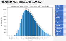 Phổ điểm môn tiếng Anh 'chạm đáy': Thí sinh kém hay đề thi khó?