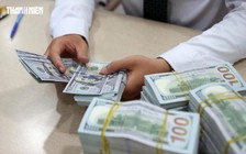 Giá USD hôm nay 11.7.2026: Ngân hàng giảm mạnh