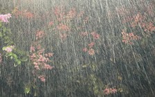 4 đợt mưa lớn dồn dập ở miền Bắc, nguy cơ có bão số 2