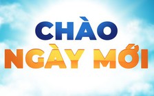 Bao giờ hết chó thả rông?