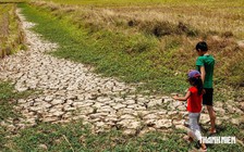 'Siêu El Nino' sắp xuất hiện, ứng phó thế nào?