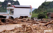 Mưa lũ ở miền Bắc gây nhiều thiệt hại