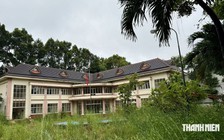 TP.HCM: Từ trụ sở bỏ hoang thành trường học khang trang, bộ đội tặng cây hoa kiểng