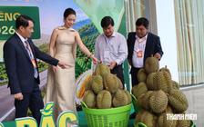 Đấu giá sầu riêng đầu tiên thu về gần 24 tỉ đồng cho nông dân