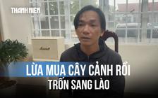 Thủ đoạn dùng dấu giả lừa mua 150 triệu đồng cây cảnh của kẻ trốn truy nã