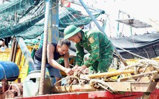 Hải Phòng cấm biển, bắn pháo hiệu báo bão số 1 (bão Maysak)