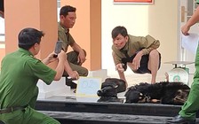 Trộm chó bị lộ tẩy, rút súng điện mở đường tháo chạy nhưng bất thành