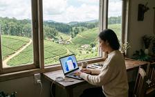 Microsoft tập trung cải thiện hiệu suất Windows 11