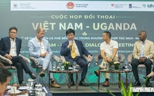 Giá cà phê tăng 3 lần khi canh tác xanh, bền vững