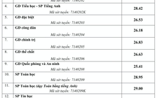 Điểm chuẩn ngành sư phạm toán tiếng Anh Trường ĐH Sư phạm Hà Nội là 29