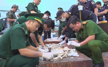Khởi tố vụ án gần 1,2 tấn ngà voi giấu trong hộp gỗ tại cảng Quy Nhơn