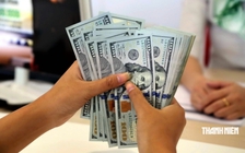 Giá USD hôm nay 13.8.2026: Tỷ giá trung tâm tiếp tục tăng mạnh