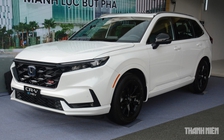 Ô tô hybrid hãng nào đang được người Việt ưa chuộng nhất?