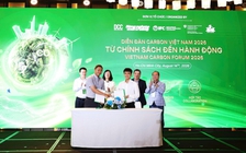 Giá tín chỉ carbon bao nhiêu là hợp lý?