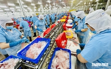 Tin tức đặc biệt trên báo in Thanh Niên 15.8.2026