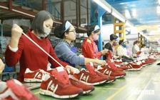 Doanh nghiệp xuất khẩu da giày 'cầu cứu' Bộ Công thương gỡ vướng cấp C/O