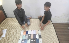 Anh em sinh đôi trộm 27 iPhone, trị giá hơn 400 triệu đồng