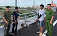Bắt 2 nghi can trộm dây điện chiếu sáng cao tốc Biên Hòa - Vũng Tàu