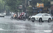 Thủ tướng Chính phủ yêu cầu 19 tỉnh, thành phố ứng phó mưa lớn